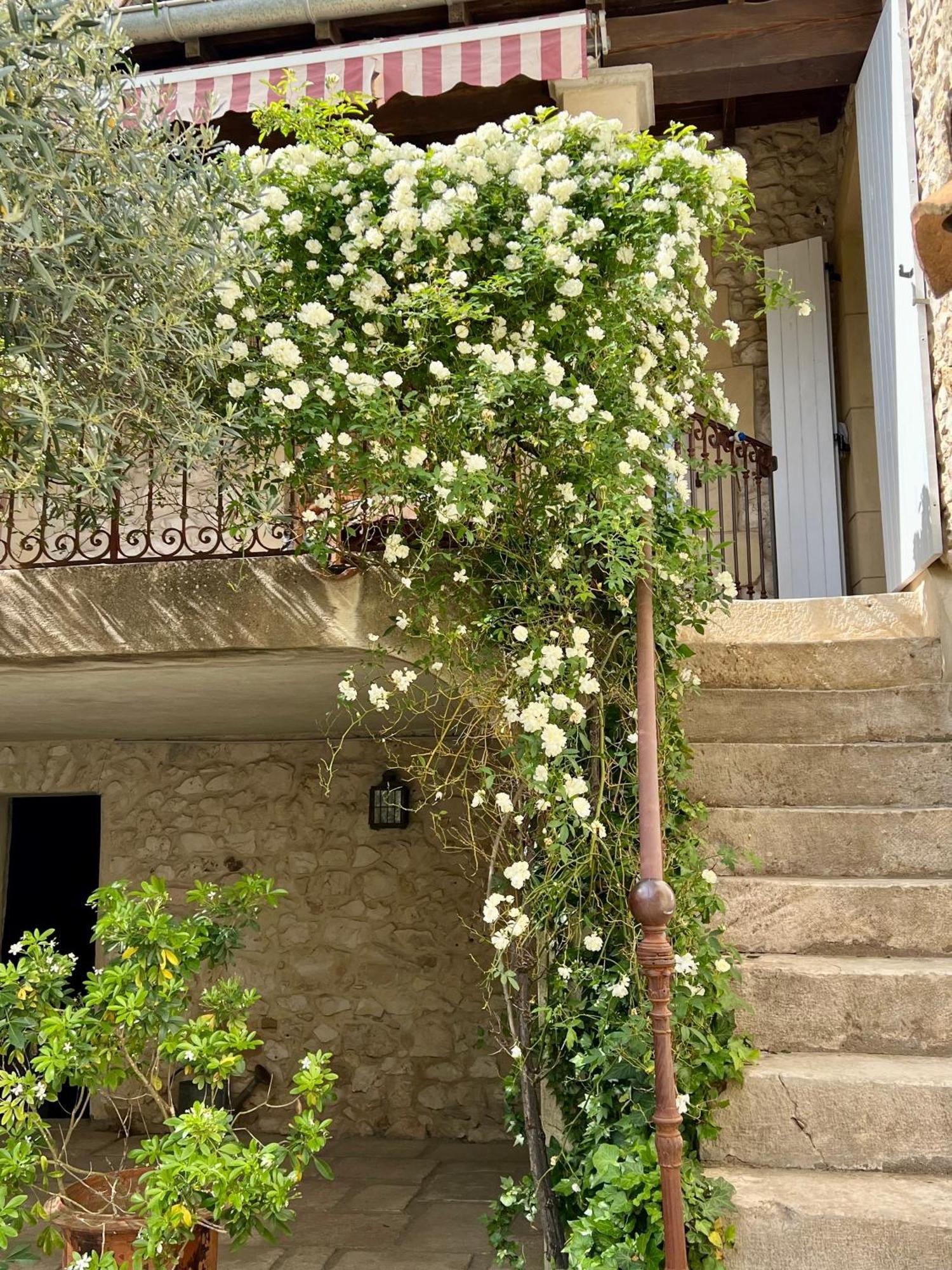 La Maison Des Autres, Piscine Chauffee, Chambres D'Hotes Proches Uzes, Nimes, Pont Du Gard Saint-Genies-de-Malgoires Luaran gambar