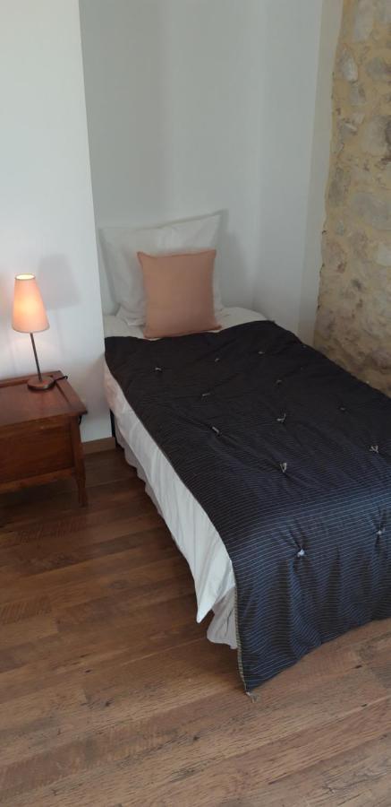 La Maison Des Autres, Piscine Chauffee, Chambres D'Hotes Proches Uzes, Nimes, Pont Du Gard Saint-Genies-de-Malgoires Luaran gambar